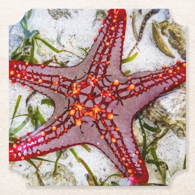 Starfish, Zanzibar, Tanzania Underlägg Papper (Framsida)