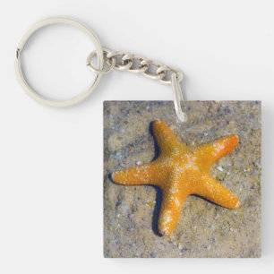 Starfisk i Anpassningsbarna Sand Beach Theme