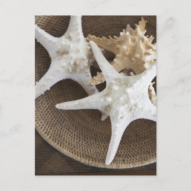 Starfisk i basket vykort (Framsida)