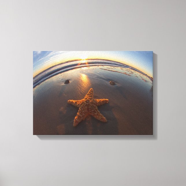 Starfisk i Beach Canvastryck (Framsida)