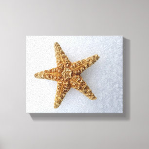 Starfisk i Snö-originalfotot Poster Canvastryck