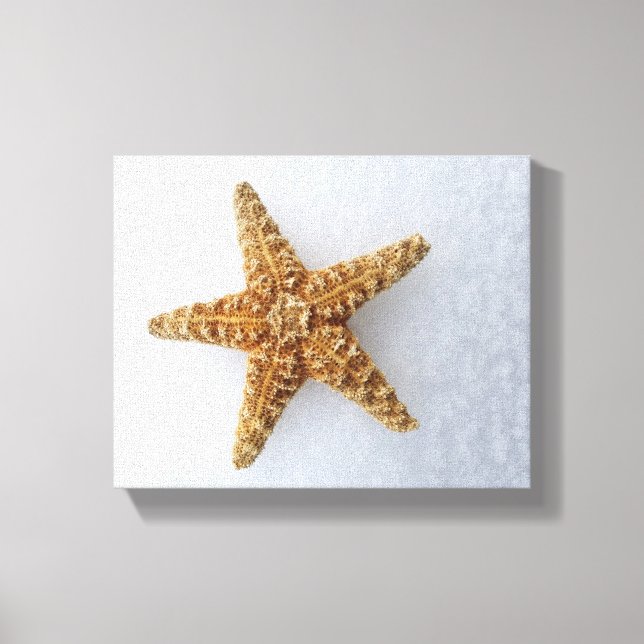 Starfisk i Snö-originalfotot Poster Canvastryck (Framsida)