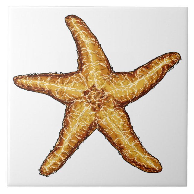 Starfisk Kakelplatta (Framsidan)