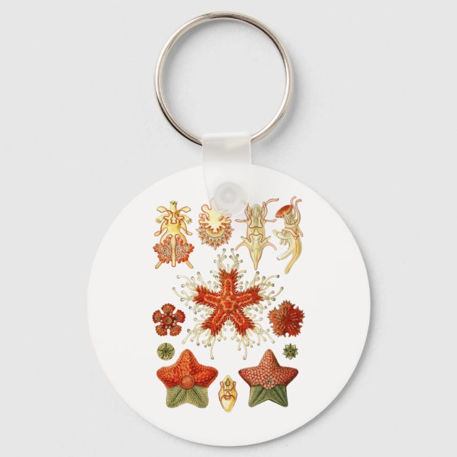 Starfisk Nyckelring (Framsida)