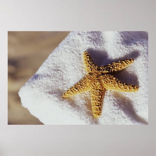 Starfisk på ett torn poster (Framsidan)
