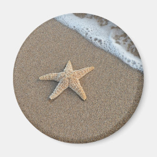 Starfisk på stranden magnet