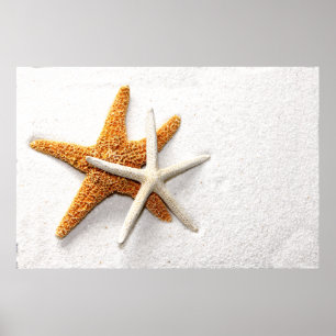 Starfisk Poster