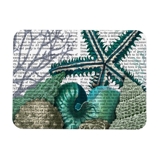 Starfisk under havet magnet (Horisontell)