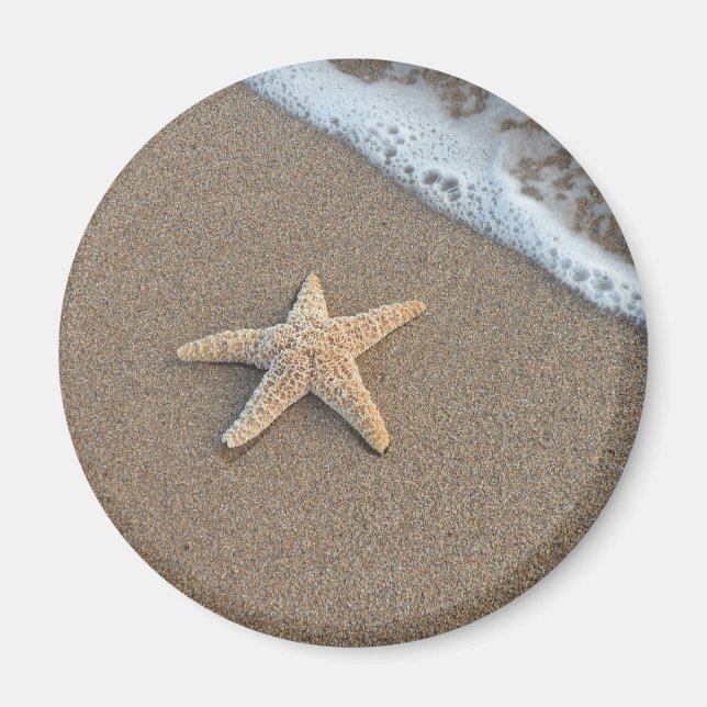 Starfisk vid stranden magnet (Framsidan)