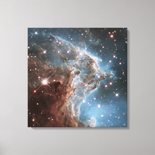 Starforming Region Ngc 2174, Monkey Head Nebula. Canvastryck