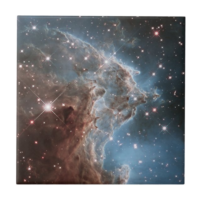 Starforming Region Ngc 2174, Monkey Head Nebula. Kakelplatta (Framsidan)