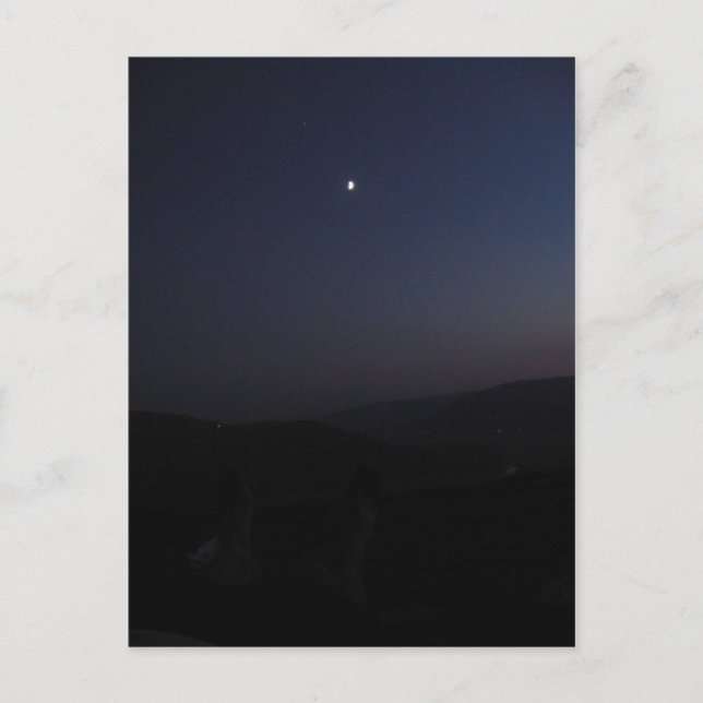 Stargazande Vykort (Framsida)