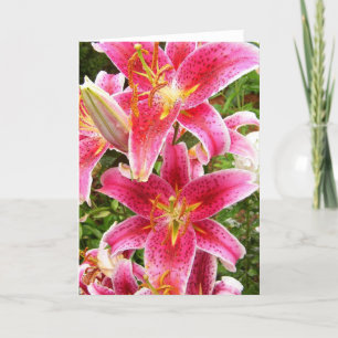 Stargazer Bouquet Kort