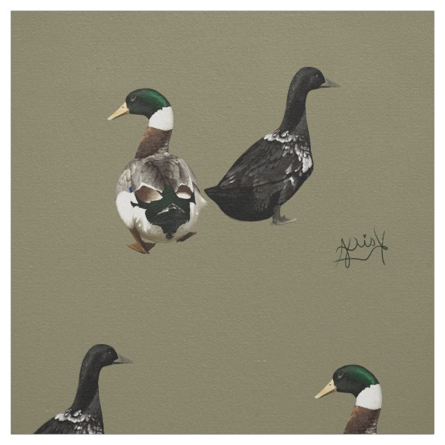 Stargazer drake och hans väv Dam anka Tyg (Provkarta)