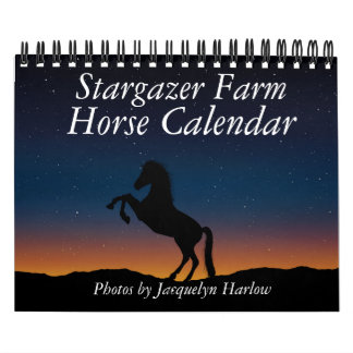 Stargazer Farm Horse Calendar Kalender
