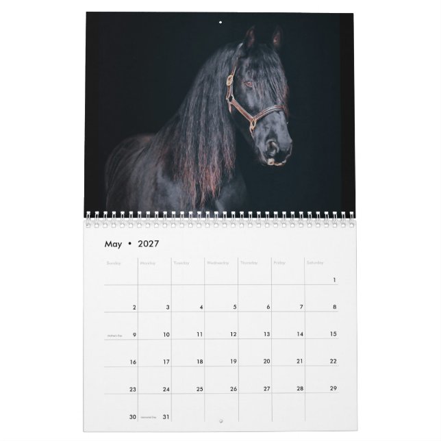 Stargazer Farm Horses Kalender (May 2027)