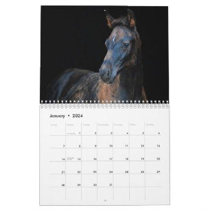 Stargazer Farm Horses Kalender