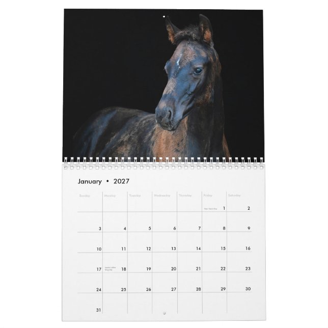 Stargazer Farm Horses Kalender (Jan 2027)