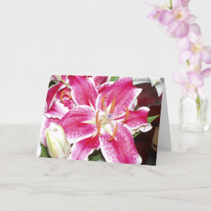 Stargazer Lilies Blank Inside Kort