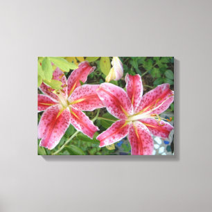 Stargazer Lilies Garden Blommigt Canvastryck