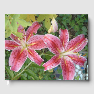 Stargazer Lilies Garden Blommigt Gästböcker