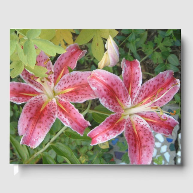 Stargazer Lilies Garden Blommigt Gästböcker (Framsida)