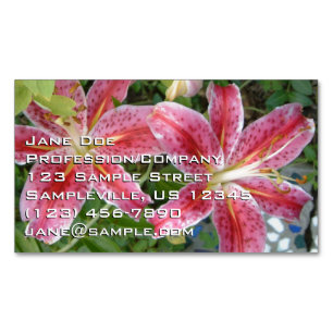 Stargazer Lilies Garden Blommigt Magnetiska Visitkort