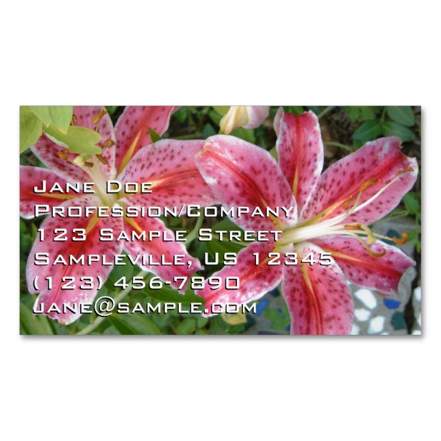 Stargazer Lilies Garden Blommigt Magnetiska Visitkort (Framsida)