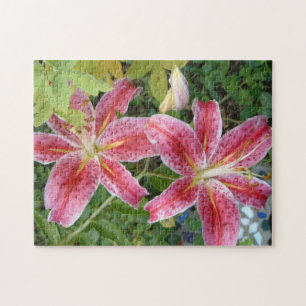 Stargazer Lilies Garden Blommigt Pussel
