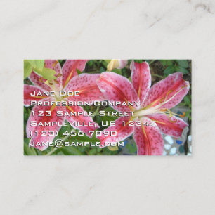 Stargazer Lilies Garden Blommigt Visitkort