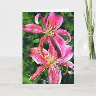Stargazer Lilies-hälsningskort Kort