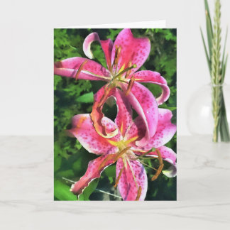 Stargazer Lilies-hälsningskort Kort