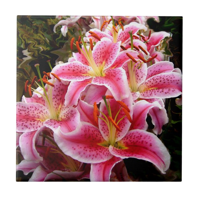 ’Stargazer’ Lilies Kakelplatta (Framsidan)