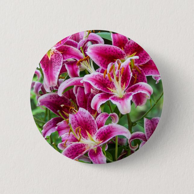 Stargazer Lilies Knapp (Framsida)