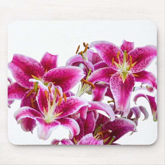 Stargazer Lilies Musmatta (Framsidan)