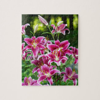 Stargazer Lilies Pussel