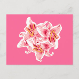 Stargazer Lilies Vykort