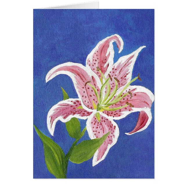 Stargazer Lily Blank-kort OBS Kort (Framsidan)