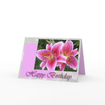 Stargazer Lily Blommigt Birthday