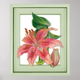 Stargazer Lily Botanical Poster