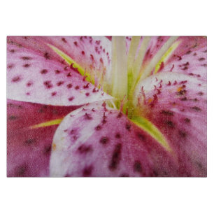 Stargazer Lily Bright Magenta Blommigt