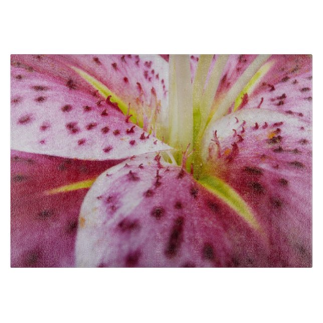 Stargazer Lily Bright Magenta Blommigt (Framsidan)