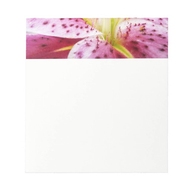 Stargazer Lily Bright Magenta Blommigt Anteckningsblock (Framsida)