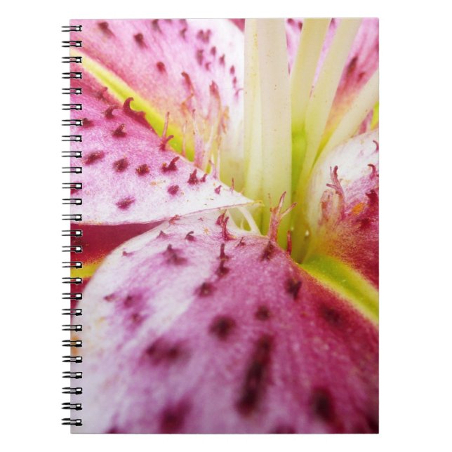 Stargazer Lily Bright Magenta Blommigt Anteckningsbok (Framsidan)