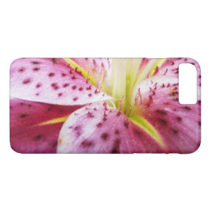 Stargazer Lily Bright Magenta Blommigt
