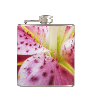 Stargazer Lily Bright Magenta Blommigt Fickplunta