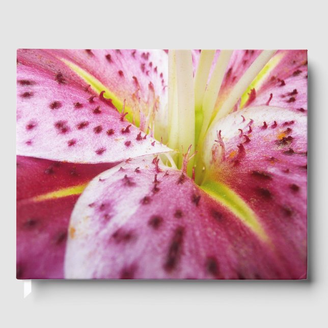 Stargazer Lily Bright Magenta Blommigt Gästböcker (Framsida)