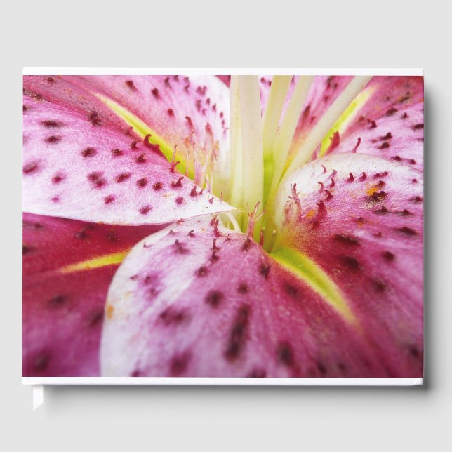 Stargazer Lily Bright Magenta Blommigt Gästböcker (Framsida)