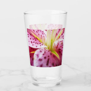 Stargazer Lily Bright Magenta Blommigt Glaskopp