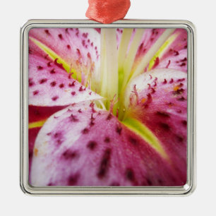 Stargazer Lily Bright Magenta Blommigt Julgransprydnad Metall